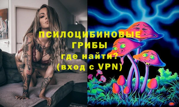 круглые Пересвет