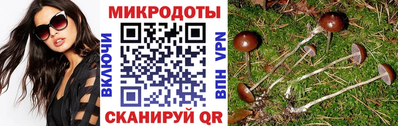 Псилоцибиновые грибы мицелий  купить наркотик  Сим 